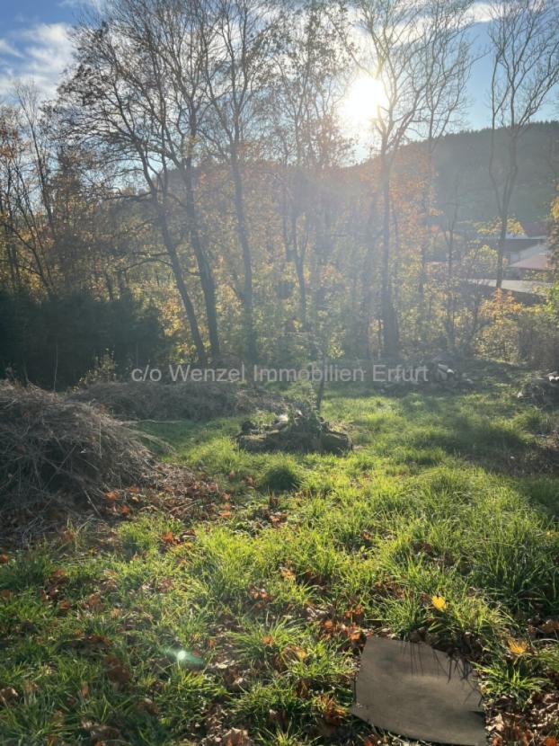 Baugrundstück mit Weitblick - Naturparadies zum Selbstgestalten!