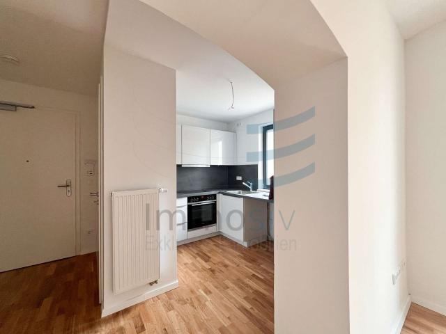 Eingang Blick Küche