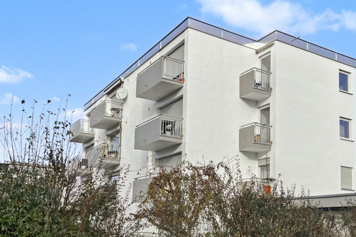 Rückseite