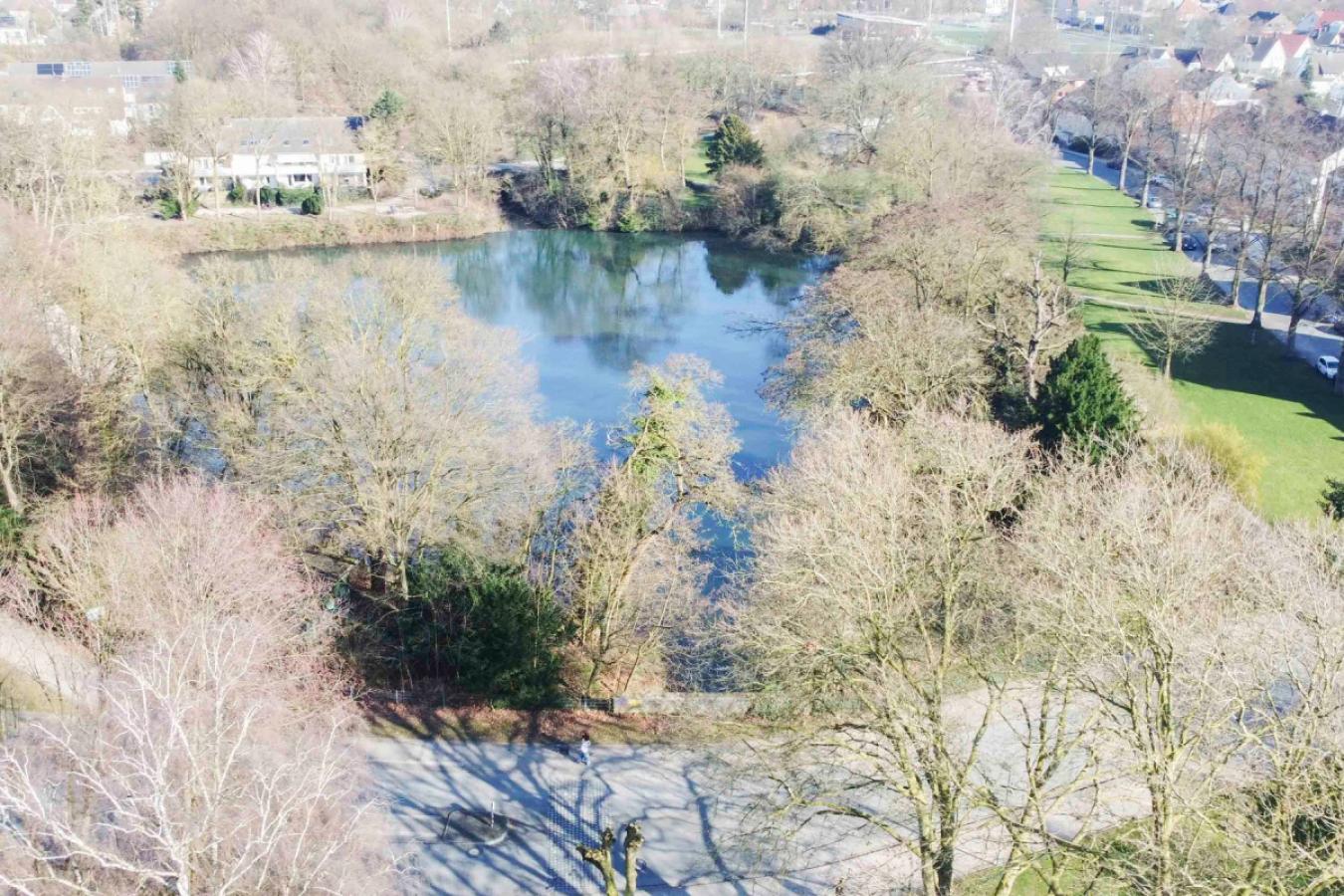 Umgebung Stauteich I