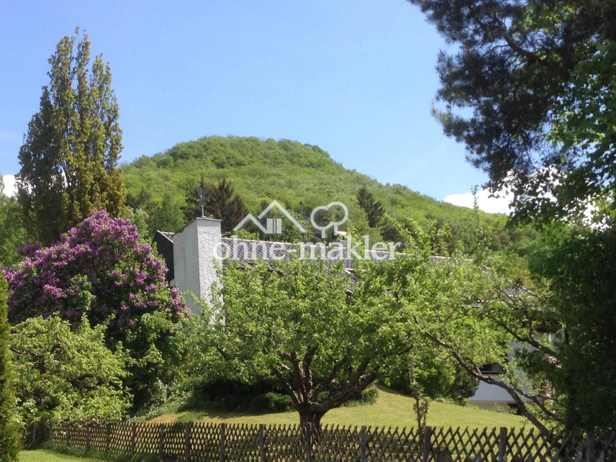 Blick unterer Teil des Gartens