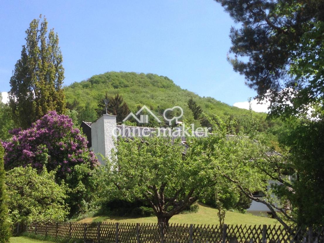 Blick unterer Teil des Gartens