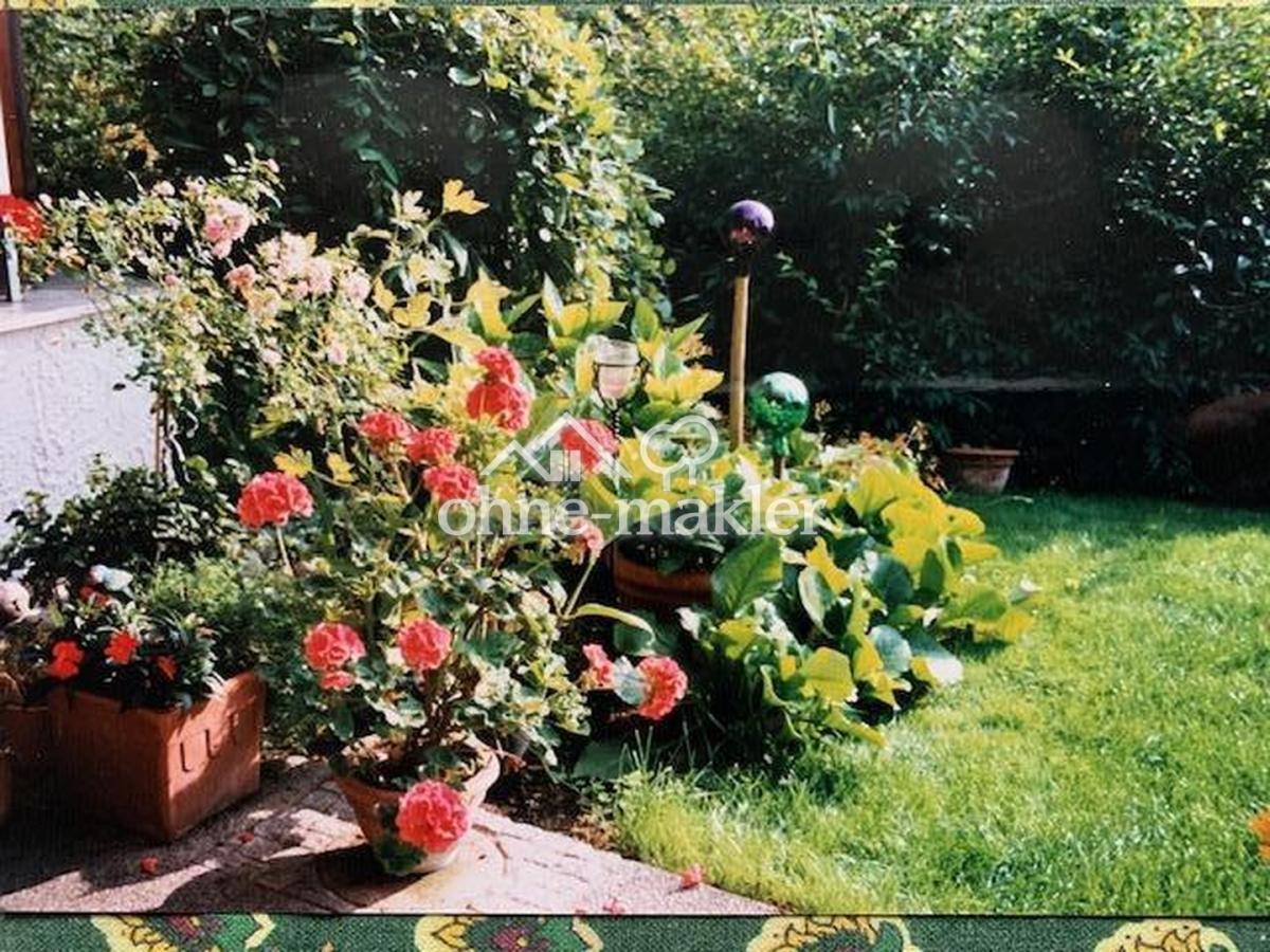 Gartenblick hinterer Eingang