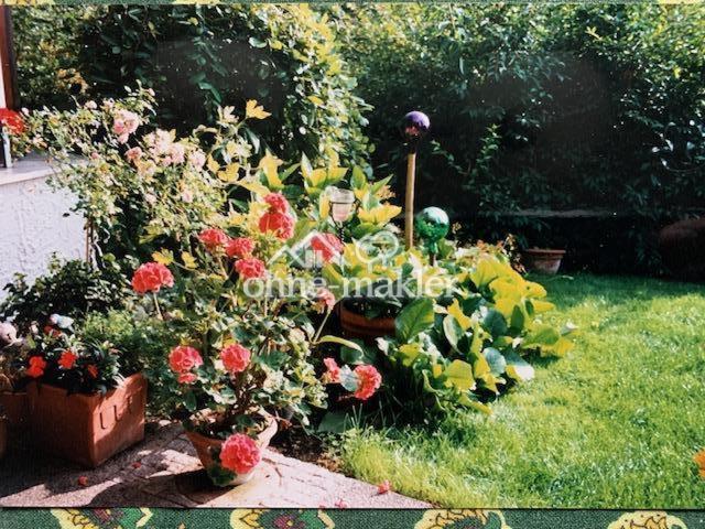 Gartenblick hinterer Eingang