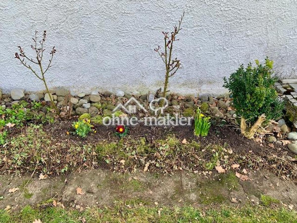 Frühlingsimpressionen