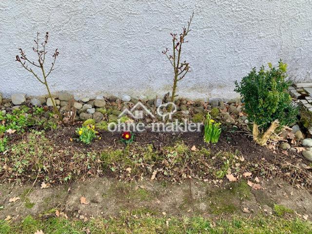 Frühlingsimpressionen