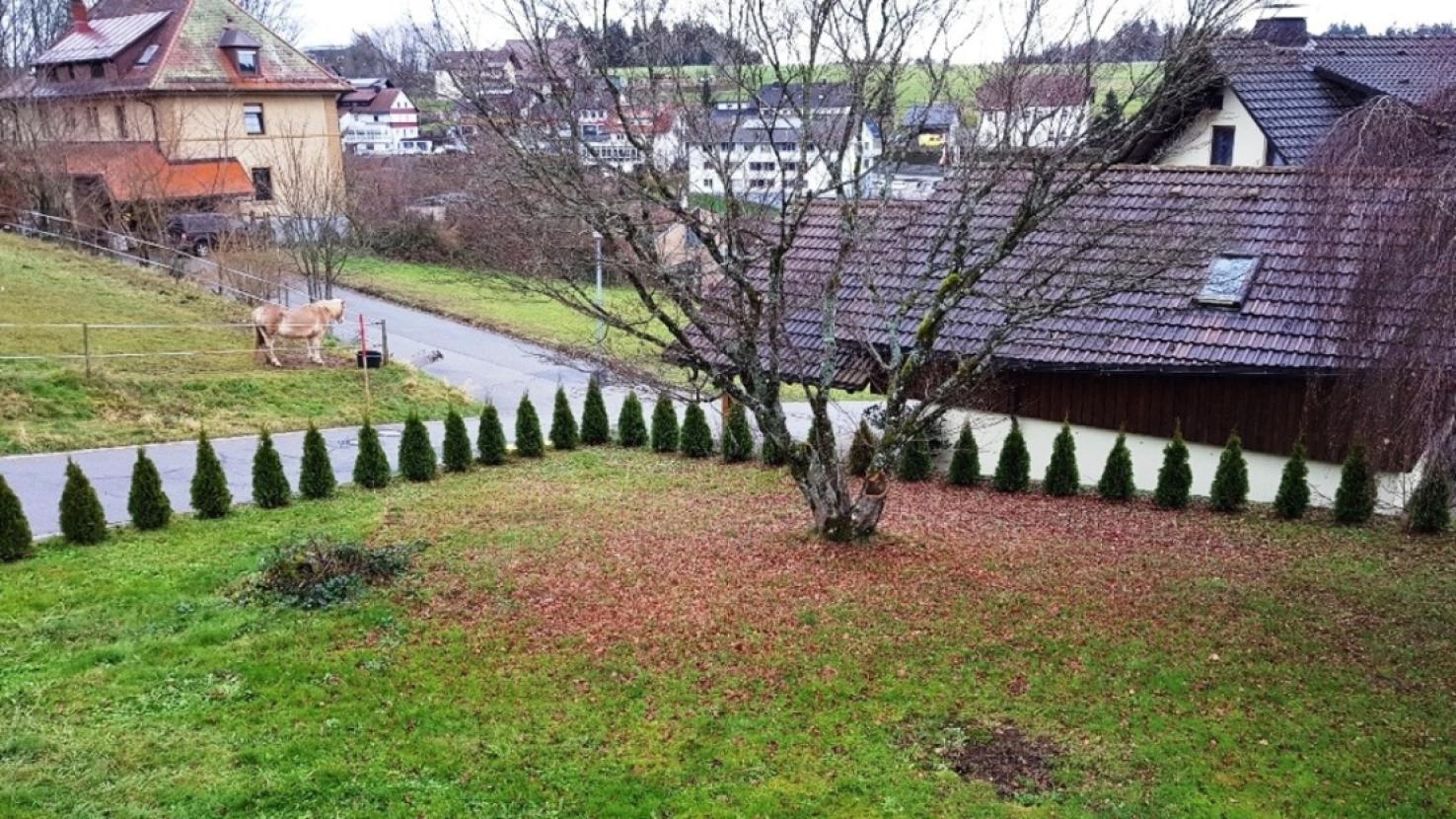 005 Ausblick Südosten