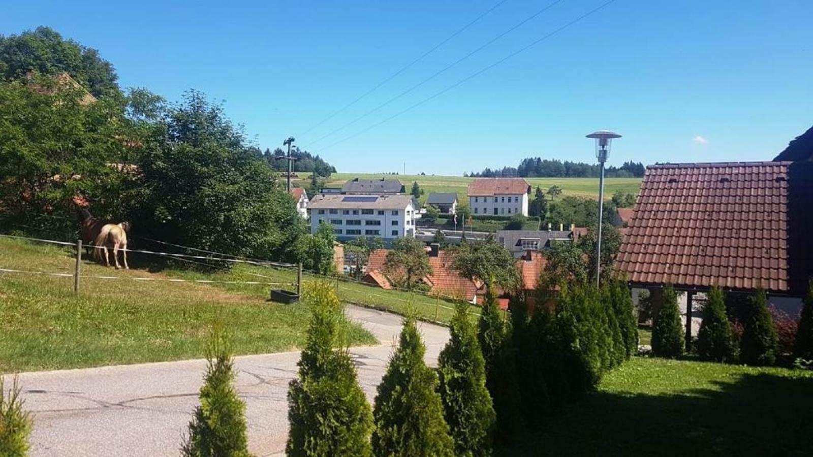 012 Ausblick vom Grundstück aus