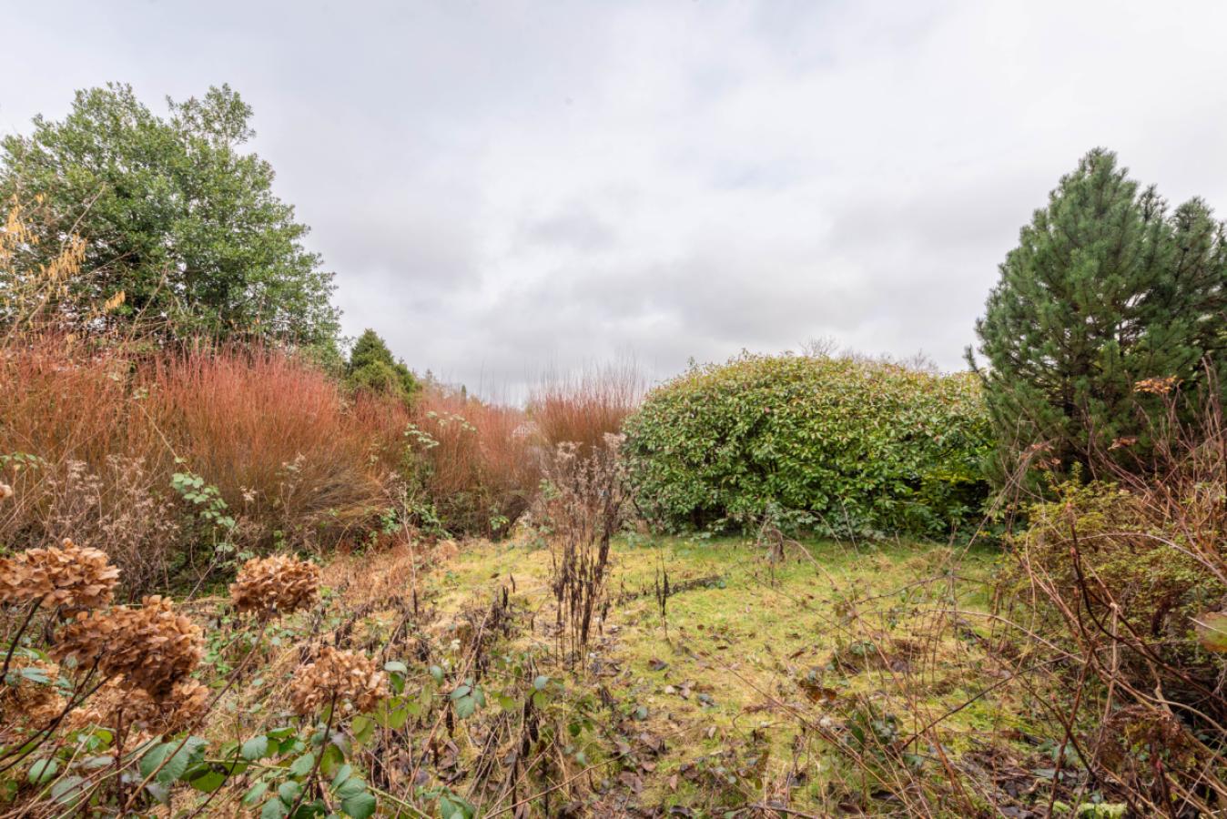 Ansicht Garten