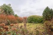 Ansicht Garten