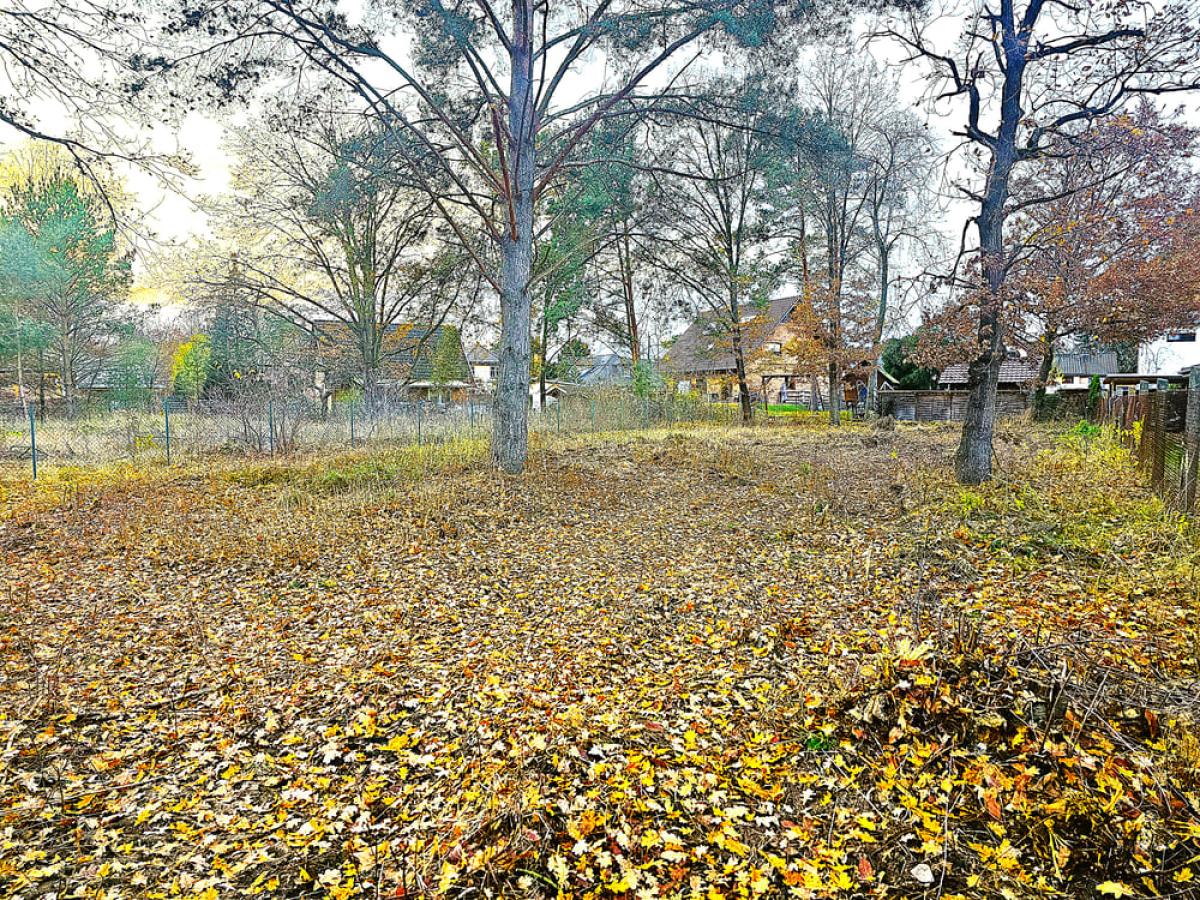 Ansicht von der Straße aus