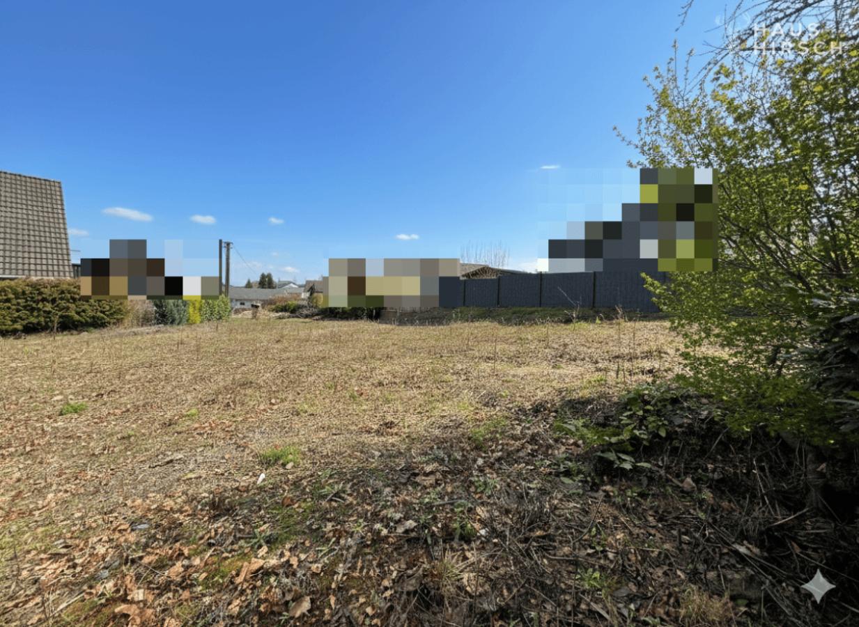 Blick aufs hintere Grundstück