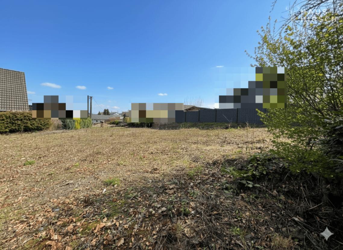 Blick aufs hintere Grundstück