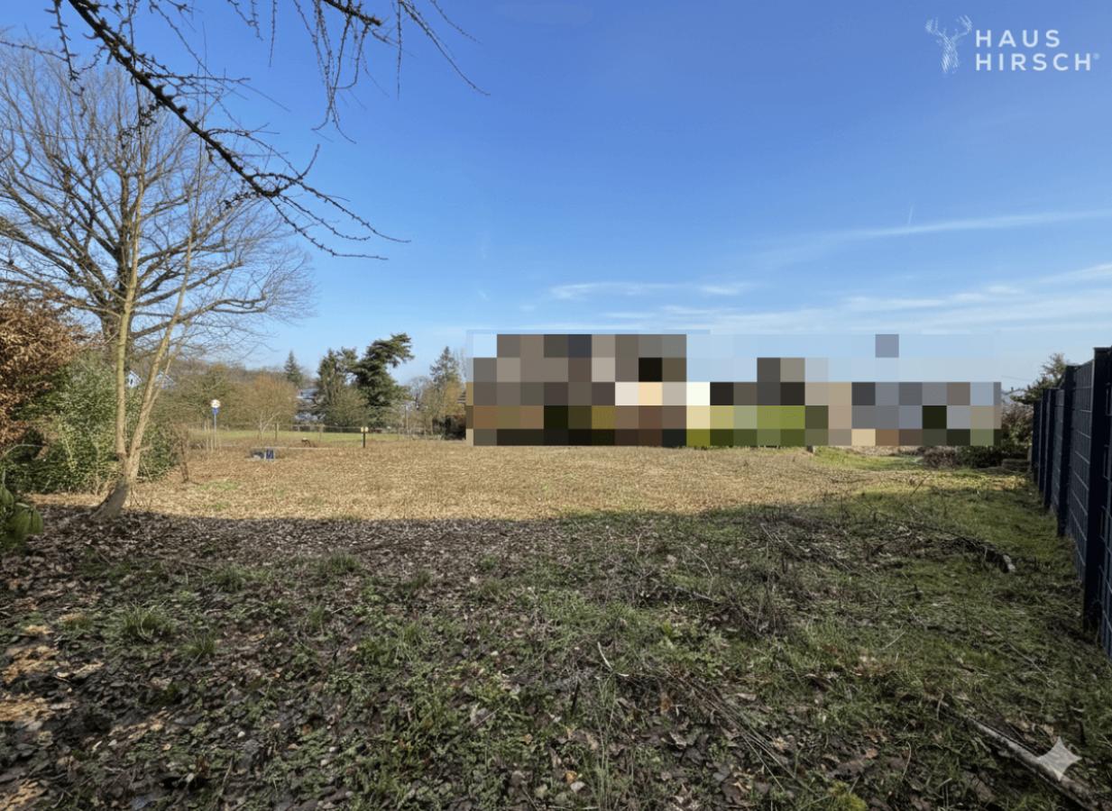 Blick aufs hintere Grundstück