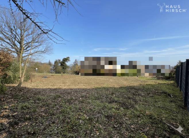 Blick aufs hintere Grundstück