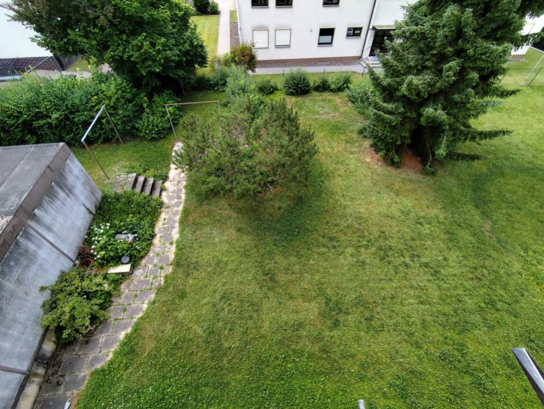 Blick in den Garten