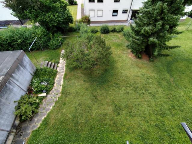 Blick in den Garten