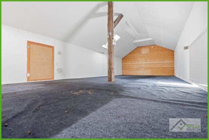 5Plus Immo Haus zum Kauf Inden / Lucherberg