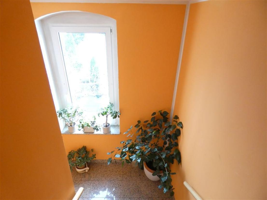 gepflegtes Treppenhaus