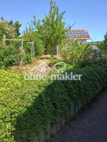 Obst und Gemüsegarten