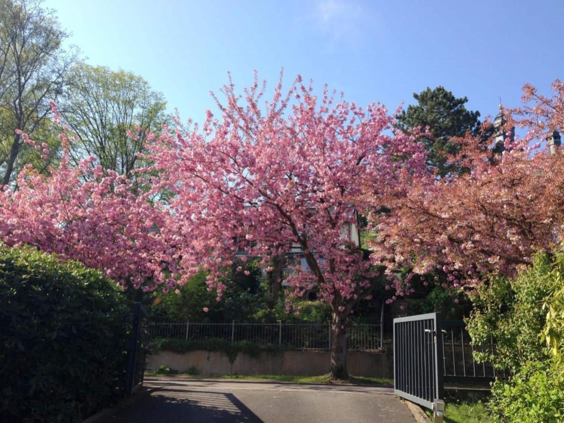 So sieht es bald auf der Straße aus ...