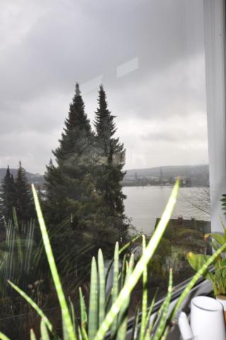 Blick auf den Harkortsee