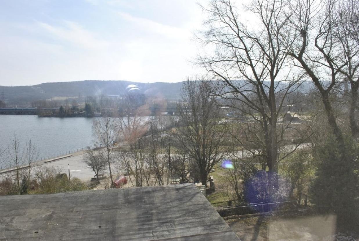 bald wieder alles grün...