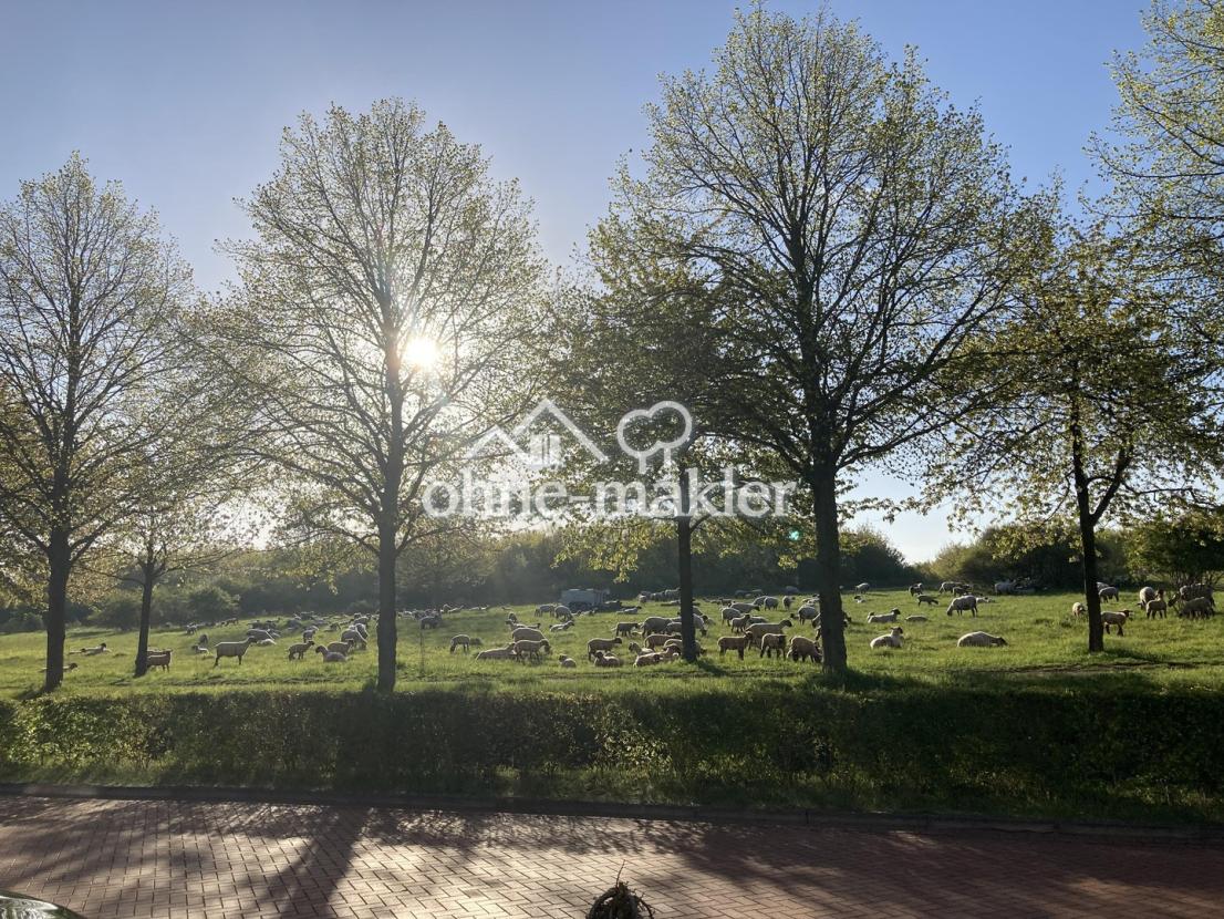 Blick aus Küchenfenster