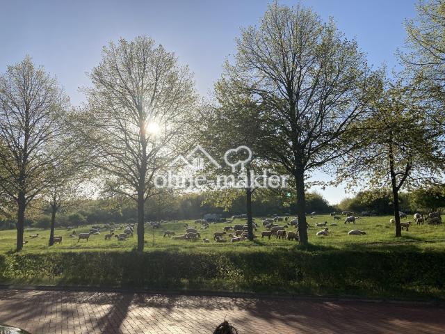 Blick aus Küchenfenster