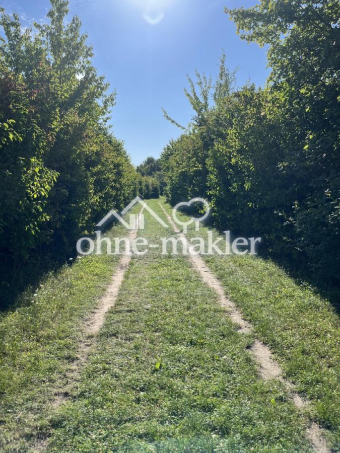 Unmittelbare Umgebung