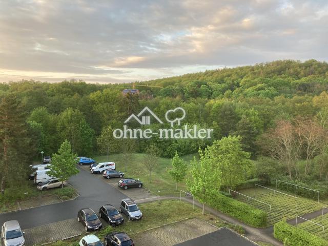 Blick zum Spitzberg + Stellpla