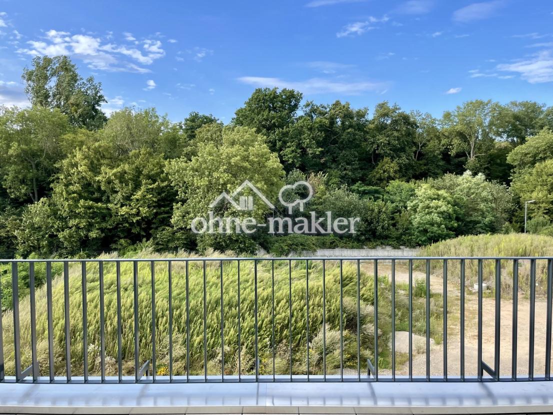 Ausblick ins Naturschutzgebiet