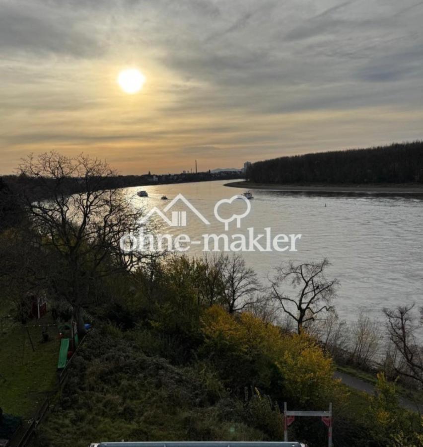 Rheinblick DG rheinaufwärts