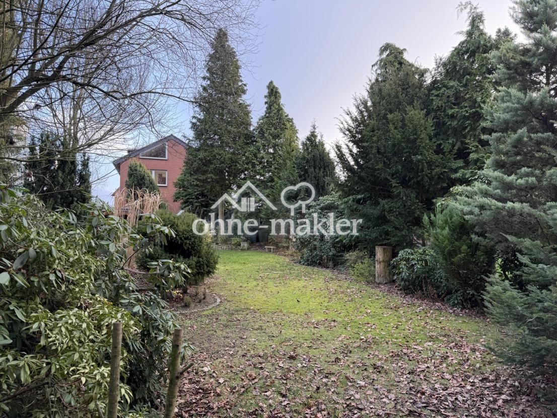 Garten mit Blick aufs Haus