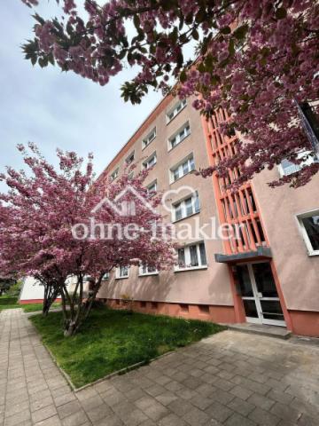 Blick auf das Haus im Frühling