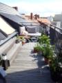 Dachterasse mit Bepflanzung