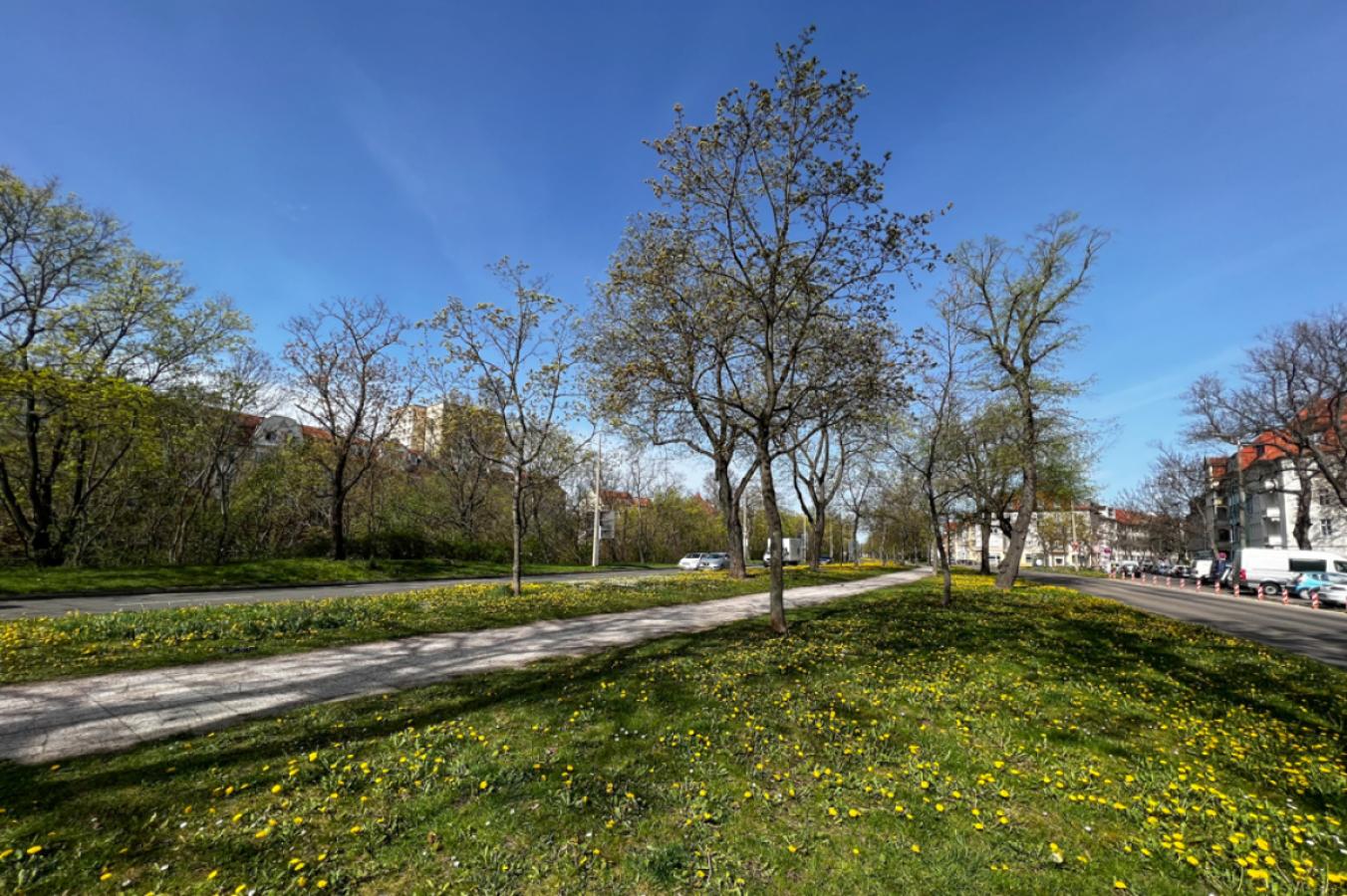 Grünfläche Staufenbergallee