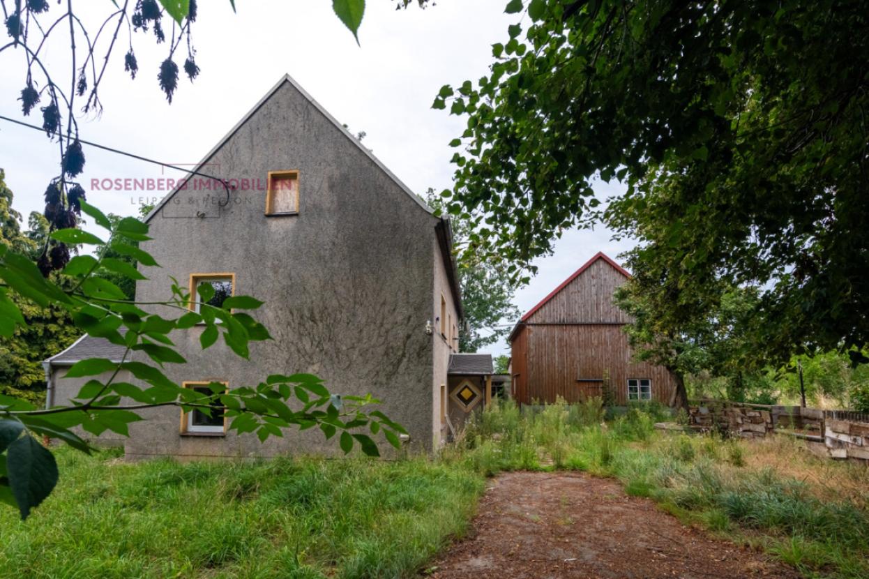 Immobilie in Döbeln zu verkaufen_Einfahrt