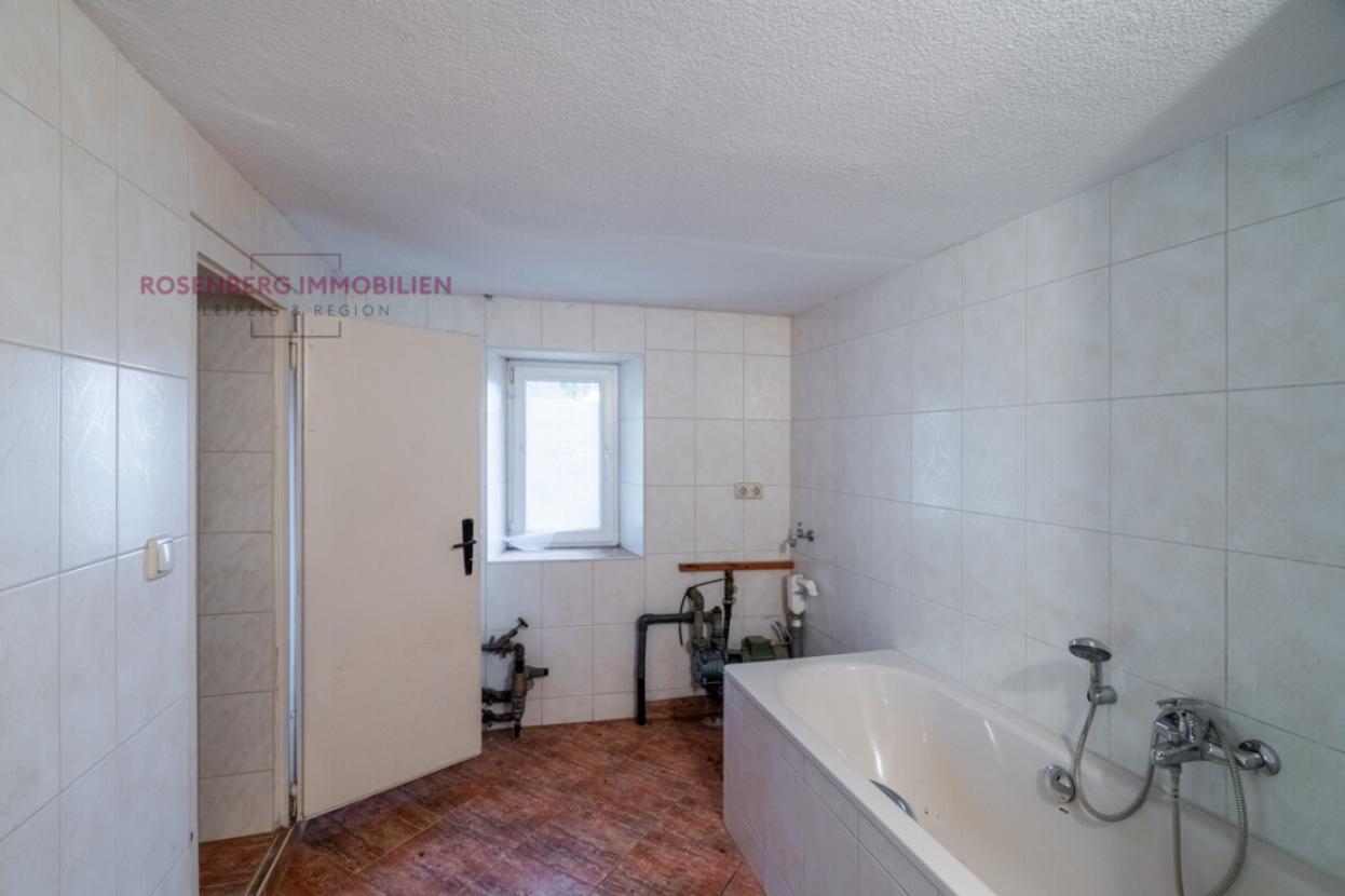 Immobilie in Döbeln zu verkaufen_Bad_2