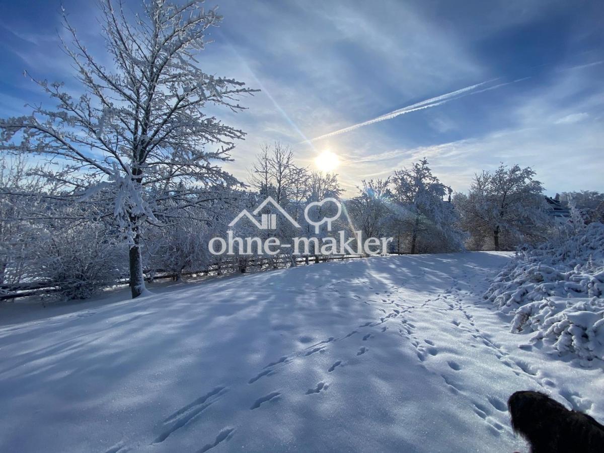 Winteraussicht seitlich