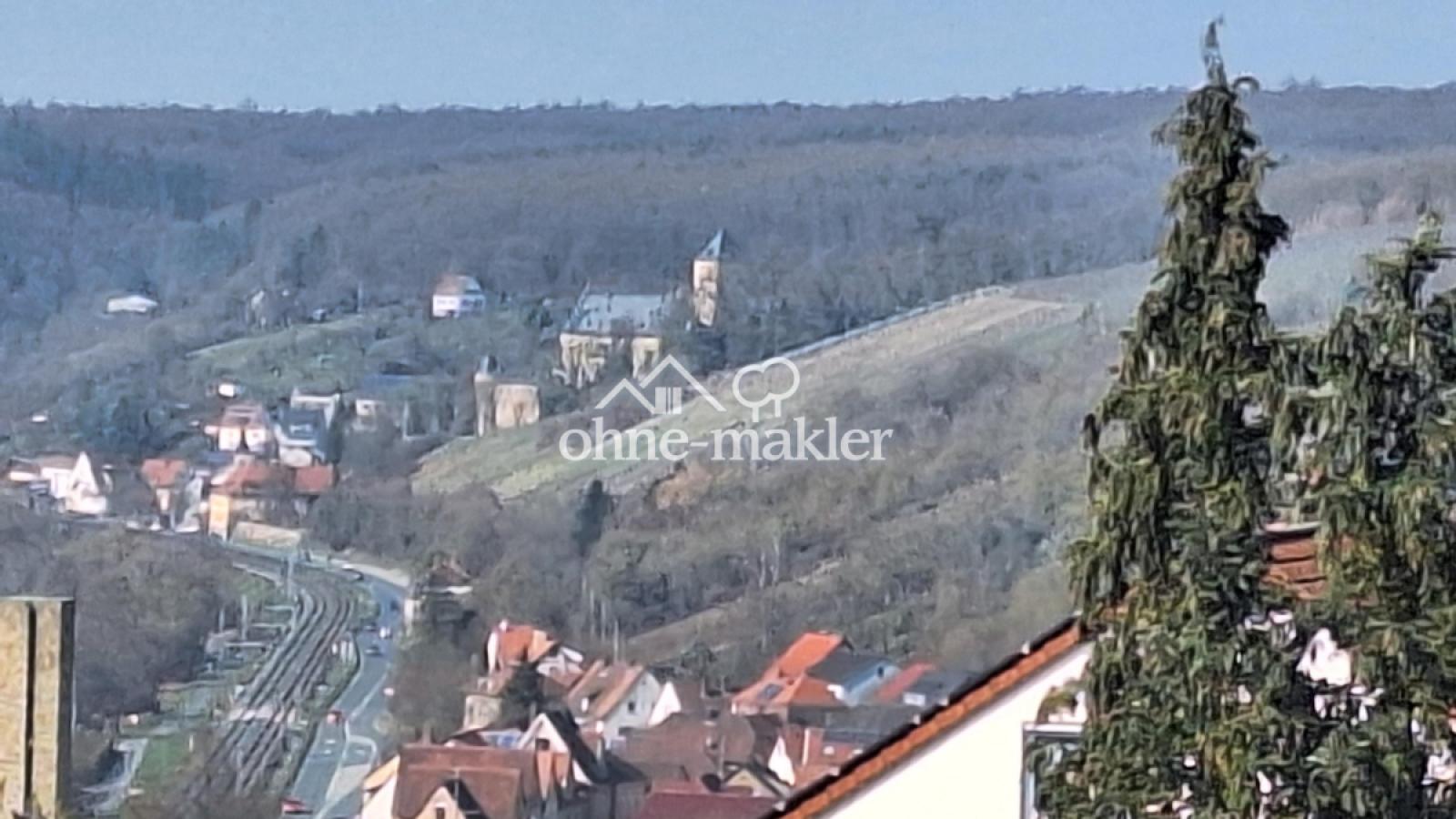 Blick zum Mainberger Schloss