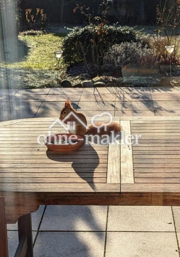 Gast zum Frühstück