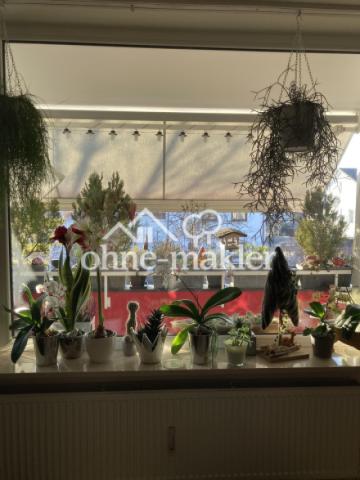 Blick aus Wohnzimmer