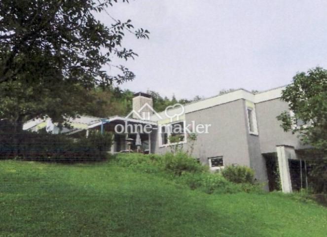 Blick vom Garten aufs Haus