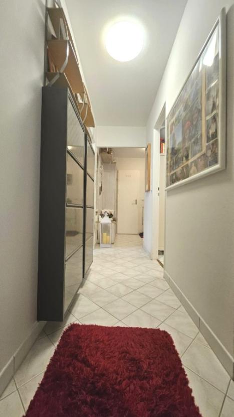 PHOTO-2026-02-19-13-52-21 2