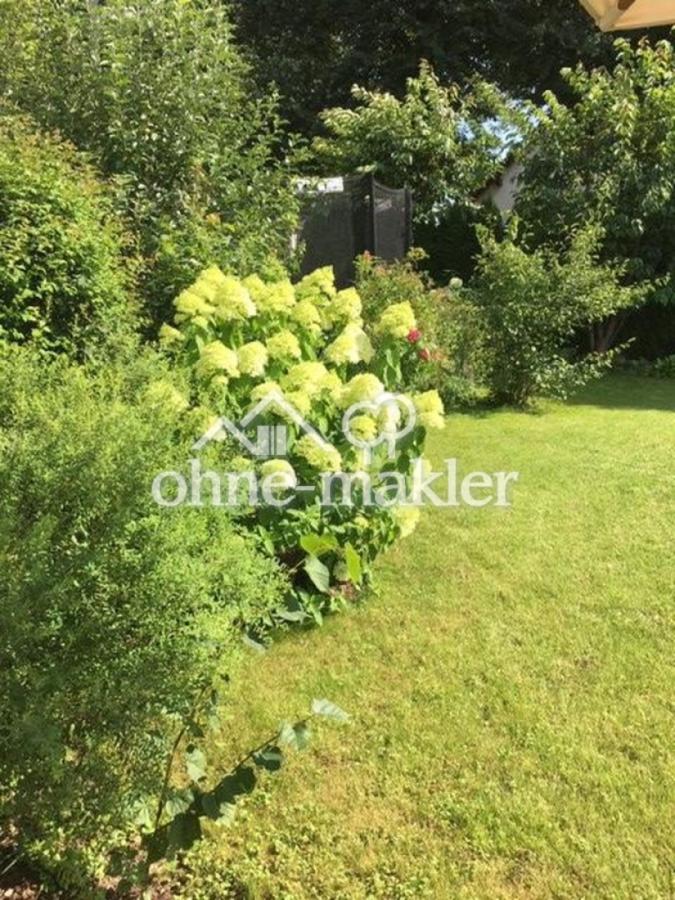 Blick in den Garten (Sommer)