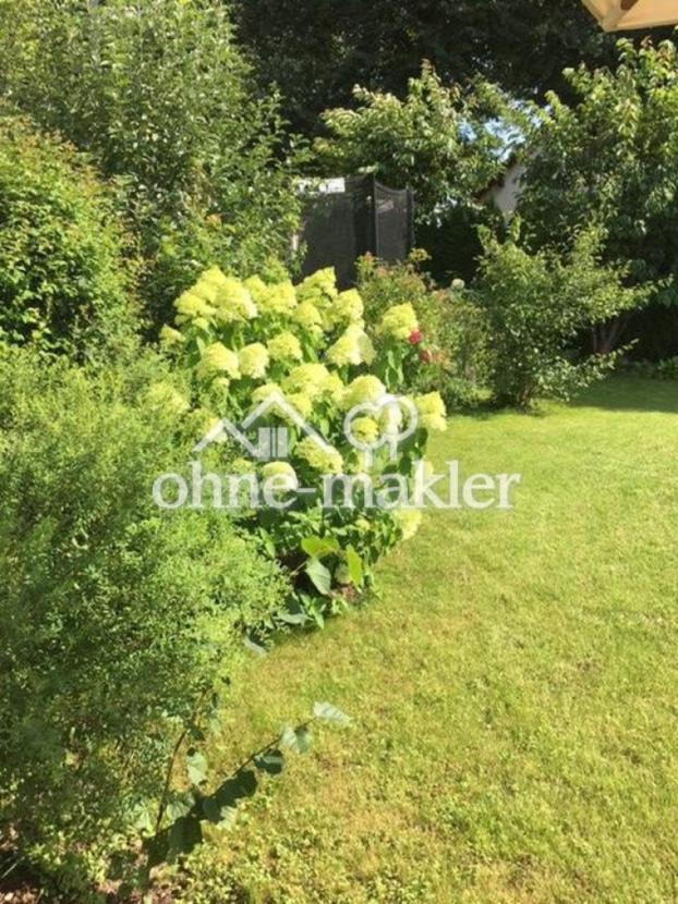 Blick in den Garten (Sommer)