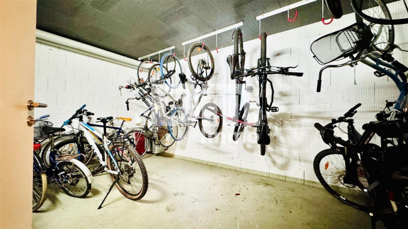 Fahrradkeller / Gemeinschaft