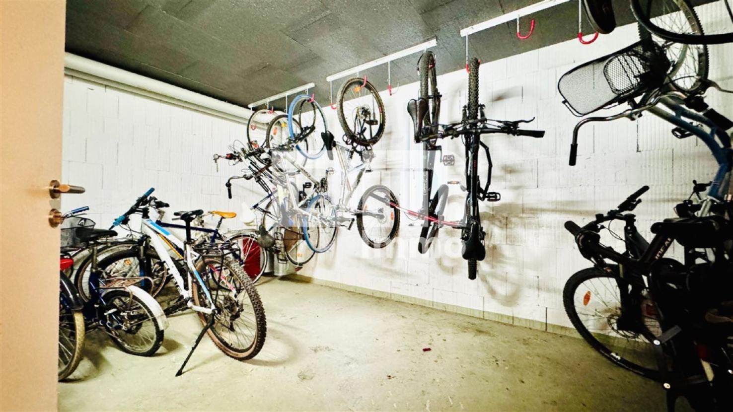 Fahrradkeller / Gemeinschaft