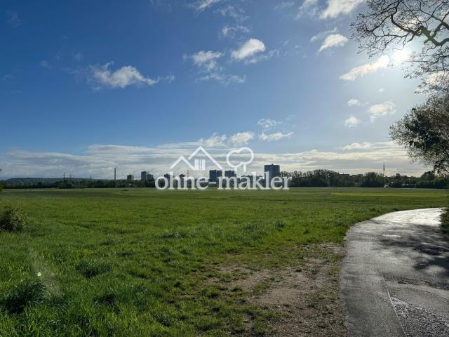 Aussicht Wiesengrund